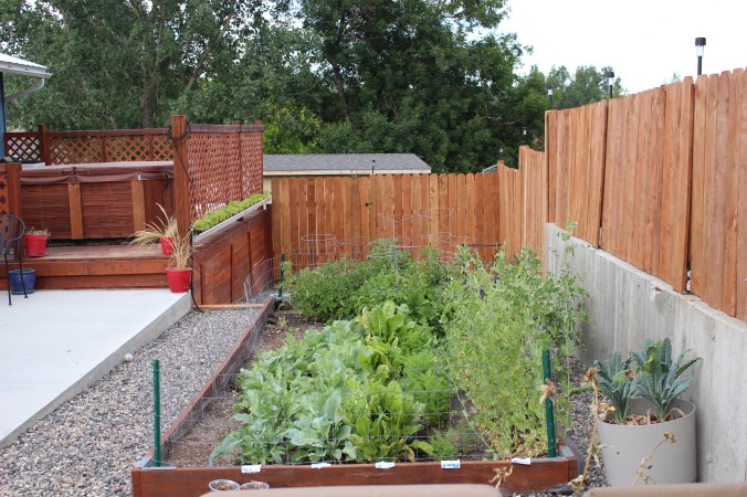 the happy crazy house back patio garden raised garden