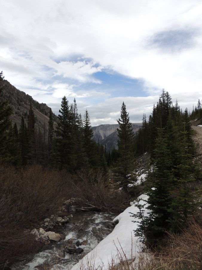 the happy crazy house road to hellroaring