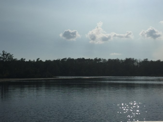 the happy crazy house 