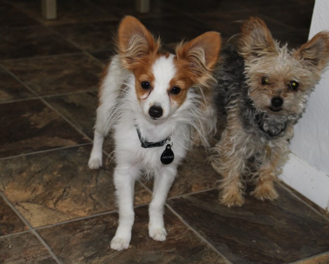 the happy crazy house Archer Hilde