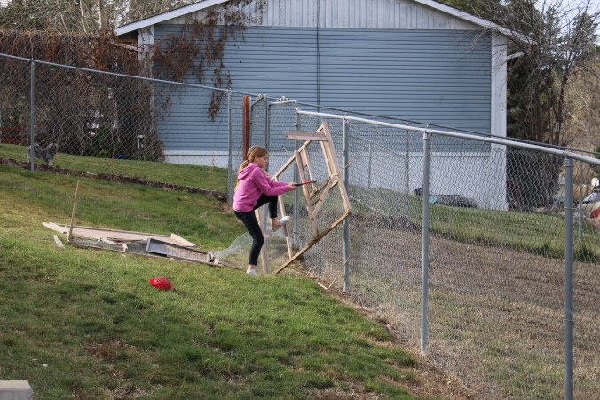 the happy crazy house chicken coop