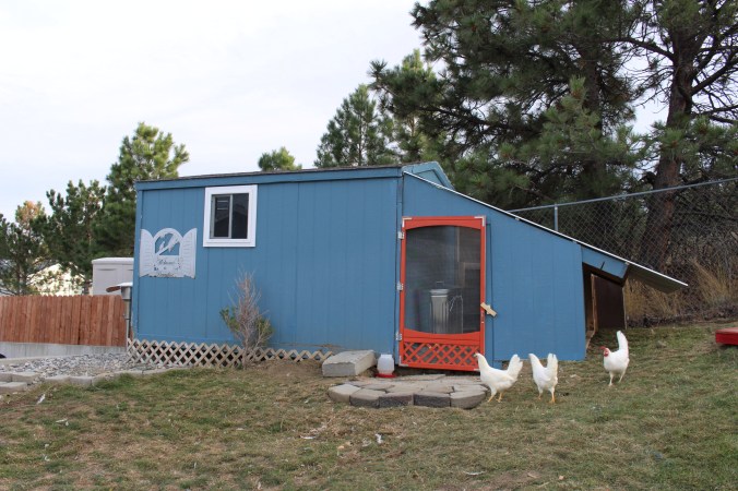 the happy crazy house chicken coop
