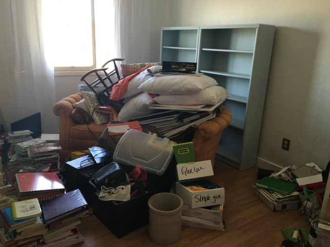 THE HAPPY CRAZY HOUSE LIBRARY MESS