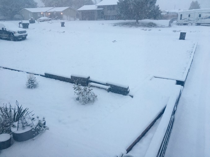 the happy crazy house