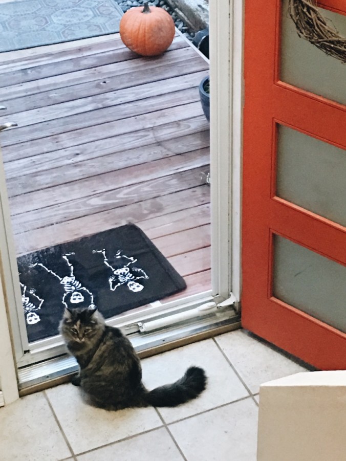 the happy crazy house Harriet